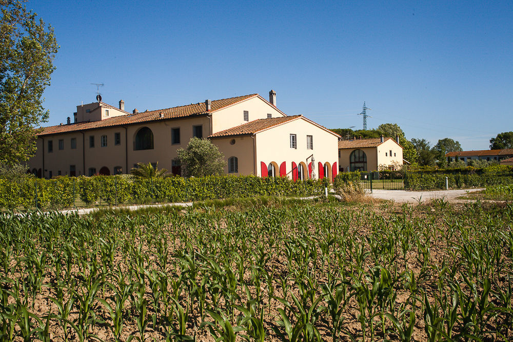Cascina Canova B&B San Giuliano Terme Exterior foto