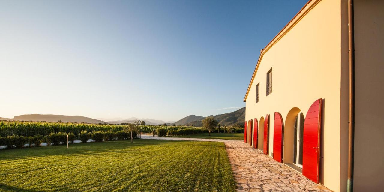 Cascina Canova B&B San Giuliano Terme Exterior foto