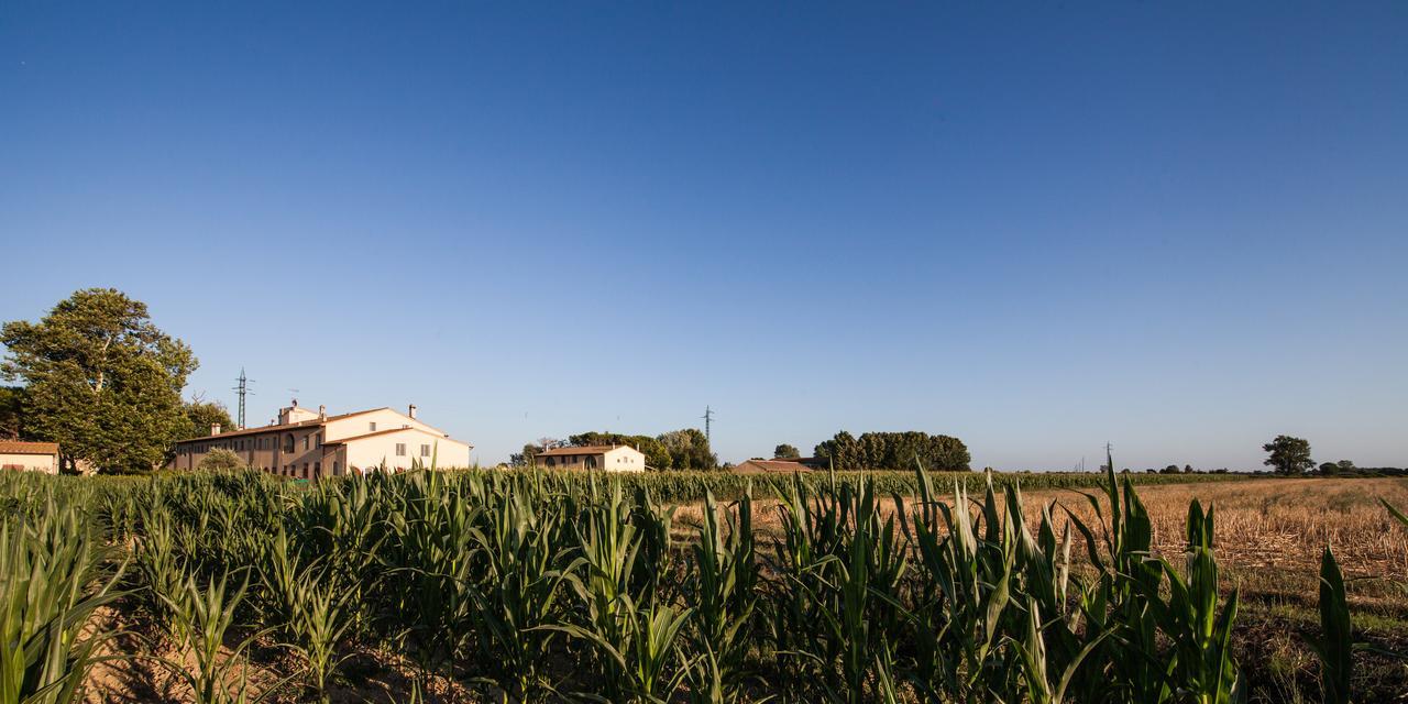 Cascina Canova B&B San Giuliano Terme Exterior foto