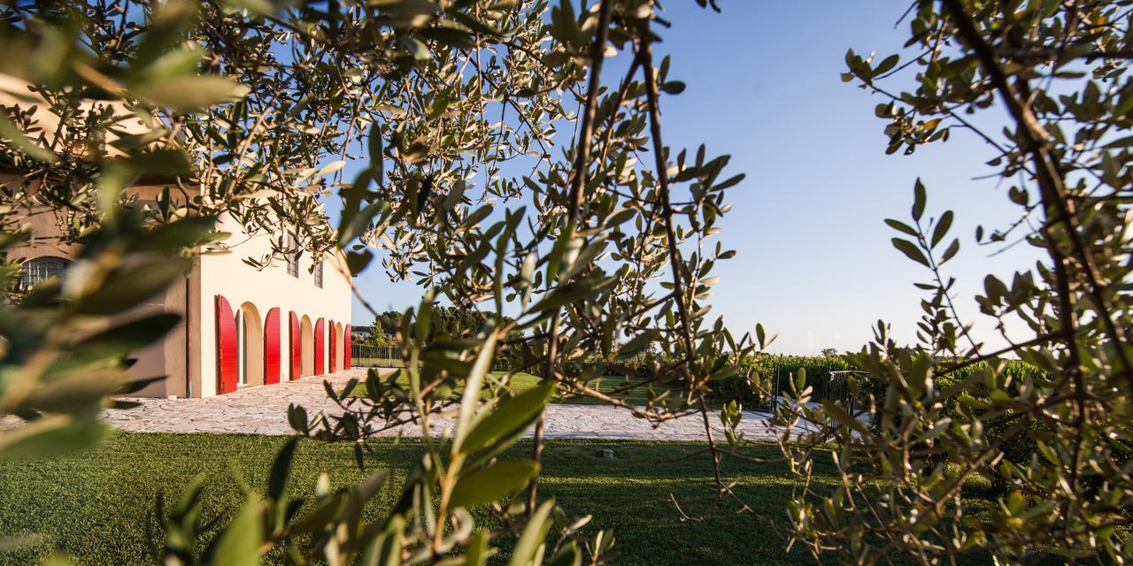 Cascina Canova B&B San Giuliano Terme Exterior foto